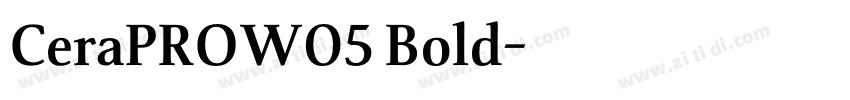 CeraPROW05 Bold字体转换
